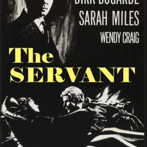 The Servant Movie on DVD (1963)