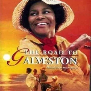 Road to Galveston Movie on DVD (1996)