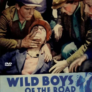 Wild Boys of the Road Movie on DVD (1933)