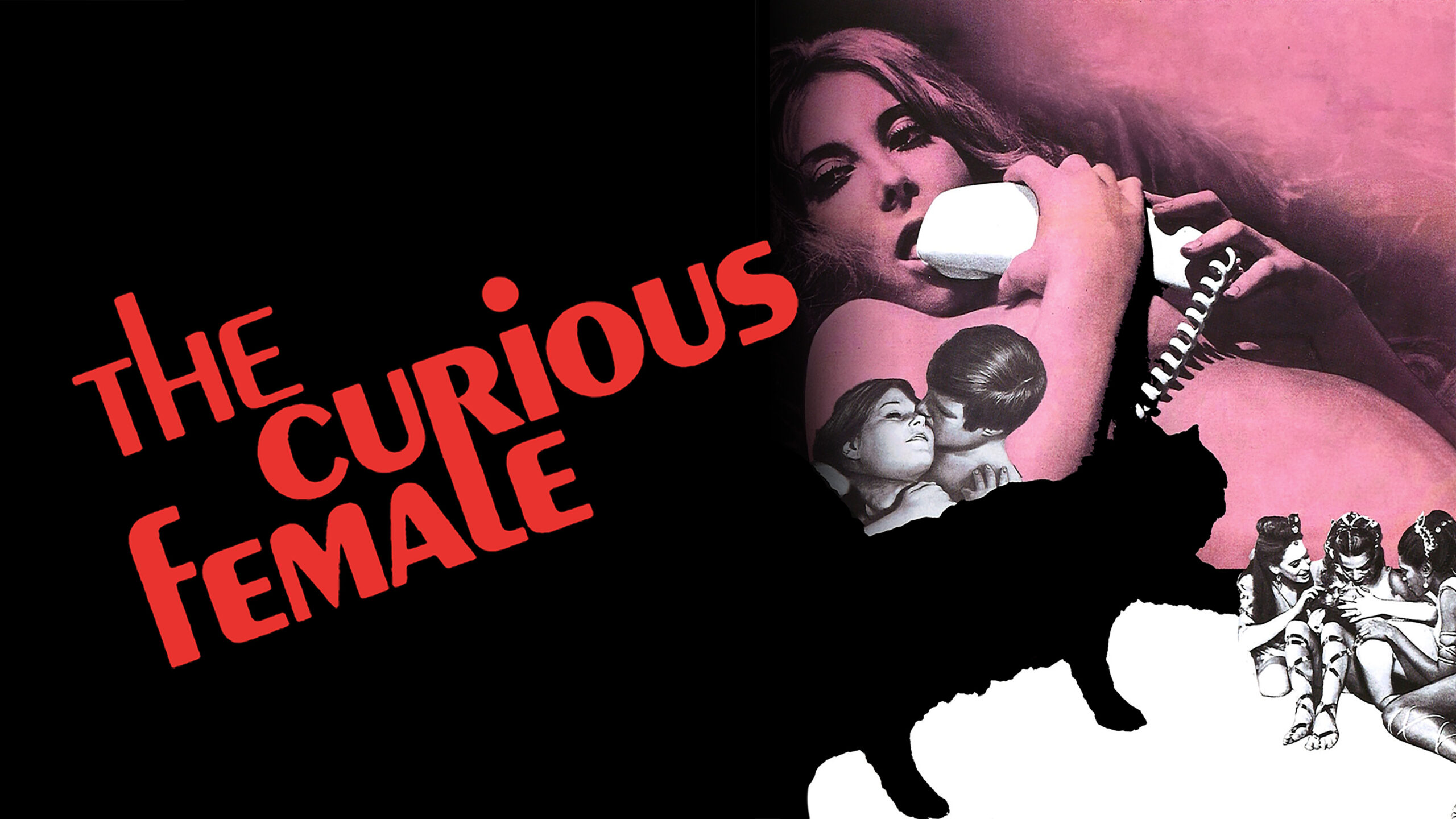 The Curious Female Movie on DVD (1970) 1 The Curious Female Movie on DVD (1970)