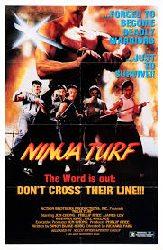 Ninja Turf Movie on DVD (1985)