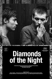 Diamonds of the Night Movie on DVD (1964)