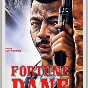 Fortune Dane TV Series on DVD (1986)