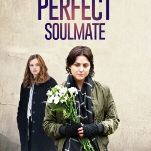 The Perfect Soulmate Movie on DVD (2017)