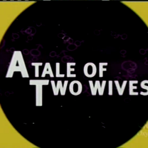 A Tale of Two Wives TV Movie on DVD (2003)