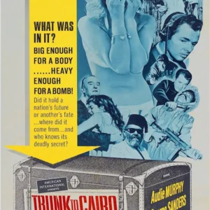 Trunk to Cairo Movie on DVD (1965)