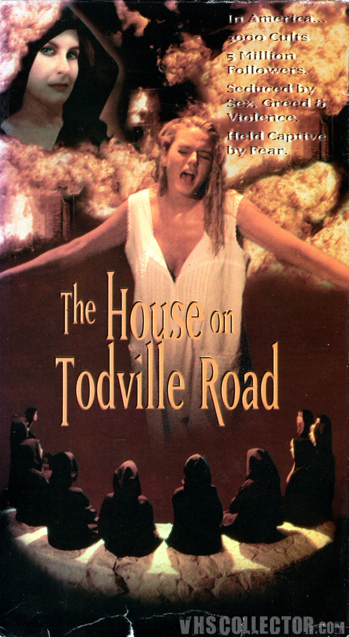 The House on Todville Road Movie on DVD (1994) 1 The House on Todville Road Movie on DVD (1994)