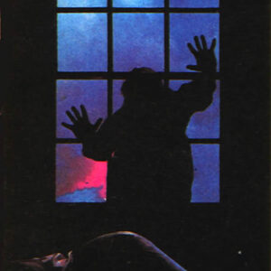 Deadly Intruder Movie on DVD (1988)