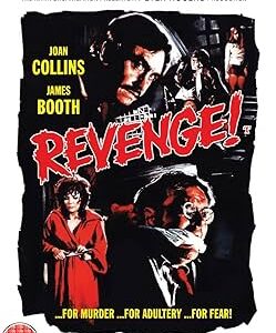 Revenge Movie on DVD (1971)