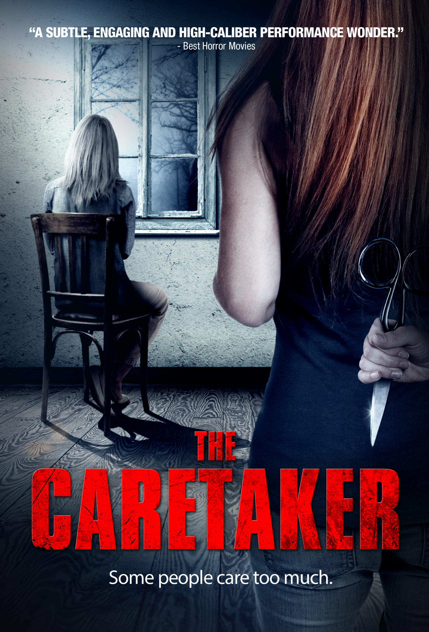 The Caretaker Movie on DVD (2016) 1 The Caretaker Movie on DVD (2016)