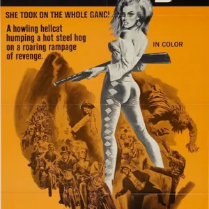 Bury Me an Angel Movie on DVD (1972)