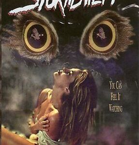 Stormswept Movie on DVD (1995)