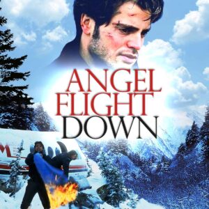 Angel Flight Down Movie on DVD (1996)