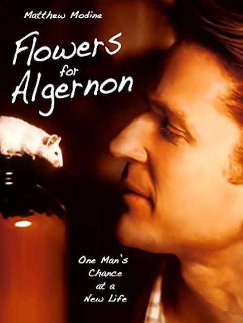Flowers for Algernon Movie on DVD (2000) 1 Flowers for Algernon Movie on DVD (2000)