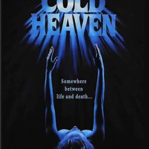 Cold Heaven Movie on DVD (1991)