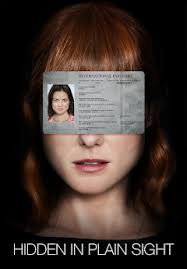 Hidden in Plain Sight TV Movie on DVD (2019)
