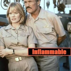 Inflammable Movie on DVD (1995)