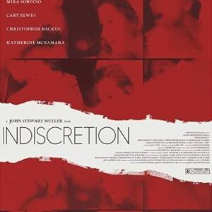 Indiscretion Movie on DVD (2016)