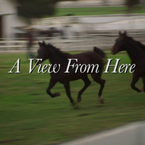 A View from Here Movie on DVD (2009)