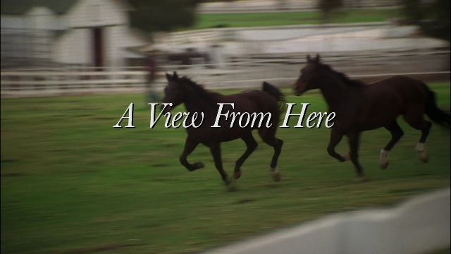 A View from Here Movie on DVD (2009) 1 A View from Here Movie on DVD (2009)