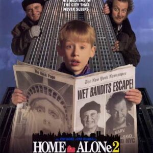 Home Alone 2 Lost in New York Starring Tim Curry Movie on DVD (1992)