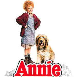 Annie Starring Tim Curry Movie on DVD (1982)