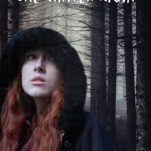One Winter Night Movie on DVD (2019)