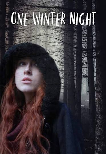 One Winter Night Movie on DVD (2019) 1 One Winter Night Movie on DVD (2019)