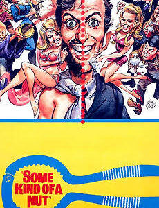 Some Kind of a Nut Movie on DVD (1969)