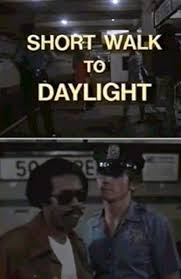 Short Walk to Daylight TV Movie on DVD (1972)