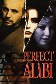 Perfect Alibi Movie on DVD (1995)