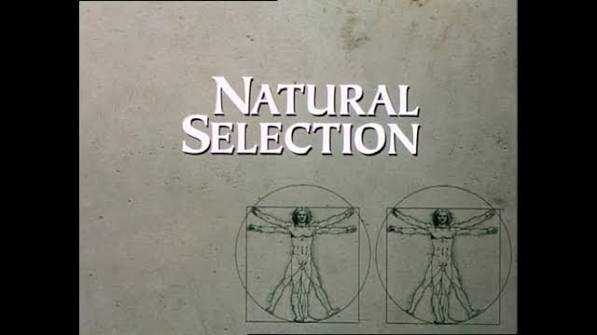 Natural Selection Movie on DVD (1994) 1 Natural Selection Movie on DVD (1994)