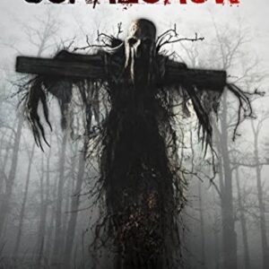 Scarecrow Movie on DVD (2013)