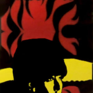 Wings of Fire Movie on DVD (1967)