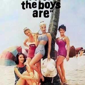 Where the Boys Are Movie on DVD (1984)
