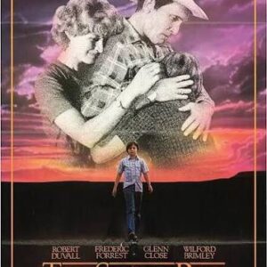 The Stone Boy Movie on DVD (1984)